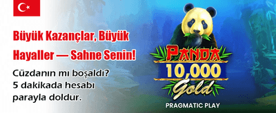 Kaya Artemis ile Kazanın